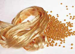 Soybean